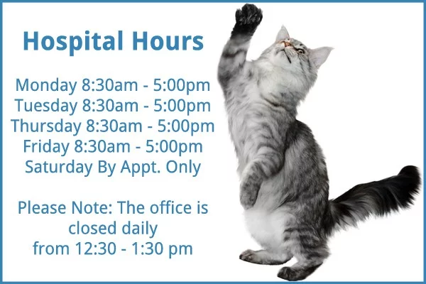 Hospital Hours Monday through Friday 8:30 to 5pm. Saturday by appt. only. Please note the office is closed daily from 12:30 to 1:30pm
